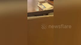 Mice spotted scurrying around Gordon Ramsay restaurant