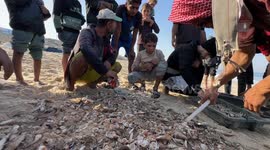 Gaza fishermen struggle to survive as Israeli restrictions cripple coastal livelihood