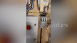 Well-trained wonder dog fetches electrician’s tools on command