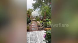 'I spent my 20s building my dream garden instead of going out - I don't regret it'