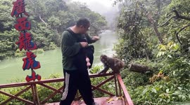 Monkey playfully asks for a spank in Guangxi, China