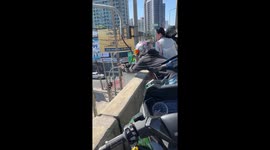 Quick passer-by grabs kitten in danger of falling from flyover bridge