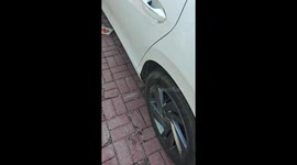 Stray kittens found hiding under car hood in China