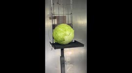 Supersonic HVOF Blast vs Head of Cabbage – Tungsten Carbide Jet Sends Leaves Flying in a Surprisingly Satisfying Test
