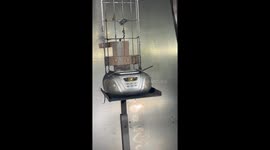 Supersonic HVOF Tungsten Carbide Blast Melts Old Boombox – Extreme Industrial Test With Insane ASMR Effects (No Fire)