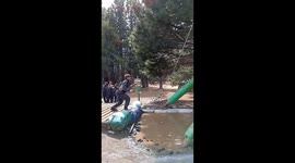 Rope Swing Excursion Fall