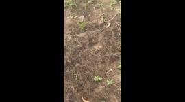 Drunk Mate Struggles To Get Ashore