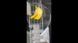 Bananas Slowly Erased by Industrial Sandblasting — Incredibly Satisfying Layer-by-Layer Erosion and ASMR Breakdown