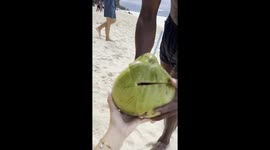 Coconut Seller Tells Client To Hit The Gym