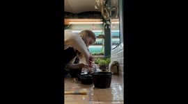 Terrarium Building Goes to Pieces