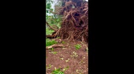 Australia: TC Fina Brings Damaging Winds to Northern Territory 6