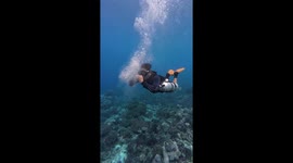 Diver creates bubble rings underwater