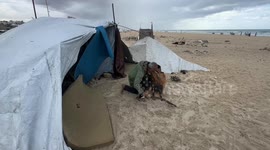 Gaza Strip November 25 2025