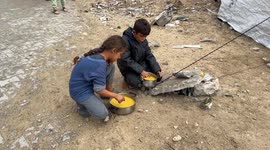 Gaza Strip November 25 2025