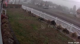 The Blank Box Exploding 12 Gauge Bait Box