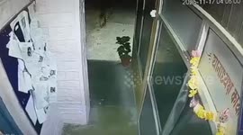 Leopard runs up and drags dog from police station