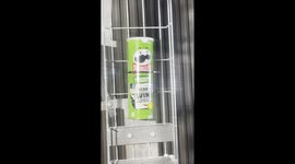 Pringles Tube Slowly Erased by Industrial Sandblasting — Cardboard and Foil Vanish as Chips Break Free in a Satisfying ASMR Test