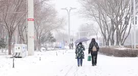 China: Cold front brings snow and wind to parts of western, northern China