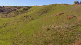 US, Los Angeles: Valencia Storms Turn Parched Hills Vivid Green Outside Six Flags Magic Mountain