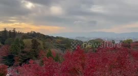Kiyomizu-dera glows in breathtaking pink-tinted autumn scenery in Kyoto, Japan