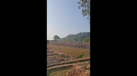 India: A calm winter morning in the Malenadu region reveals a tranquil view of Kavaledurga