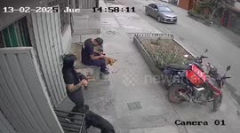 Black dog hilariously blocks brown dog outside a house in Lima, Peru