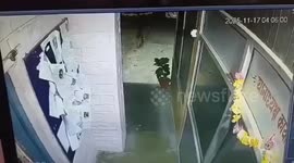 Brave Dog Sacrifices Its Life to Save Police Officers as Leopard Enters Uttarakhand Station