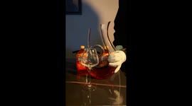 Oversized swan-shaped decanter mishap in Shaanxi, China