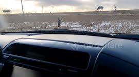 Dog rescued after paw trapped in metal grate in Inner Mongolia, China