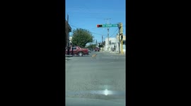 Dog relieves itself in middle of street in Ciudad Juárez, Mexico