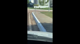 She Just Wanted to Help a Baby Bird