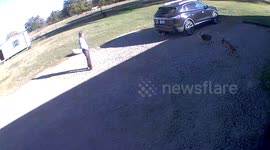 Dog Sweeps Girl Off Her Feet