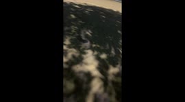 Rat and Crab Rivals Spotted Fighting on the Beach