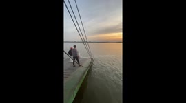 Stray dog swims away to sea while locals try to rescue him