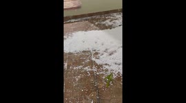 Bulldog Destroys Bean Bag Chair