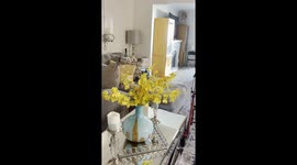 Mom is having a little argument with her grandma after she doesn't wanna talk about this.