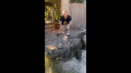 Dangerously Delicious. Alligators help cook and prepare our Thanksgiving meal. Will it be a feast or an epic fail?