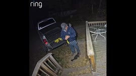 Neutered Cat Gets His Revenge