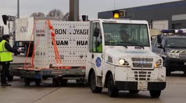 Giant pandas return to China following farewell ceremony in France (2)