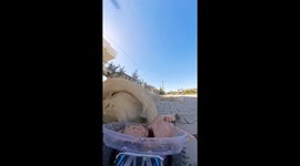 Stray dog reacts to playful RC food cart surprise in İzmir, Türkiye