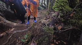Curious squirrel suddenly jumps at tourist in Shaanxi, China