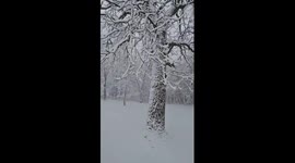Heavy snowfall blankets Black's Grove Park in Otter Tail, Minnesota, USA