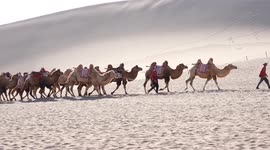 China: Cultural creative designers fuel Dunhuang's heritage boom