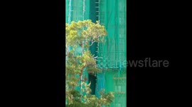 香港宏福苑火灾初始画面曝光 棚架火势极速蔓延