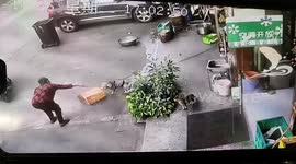 Woman snatching box from store foiled by dog tied up outside shop