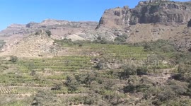 Yemen: Yemen's coffee industry struggling amid years of conflict