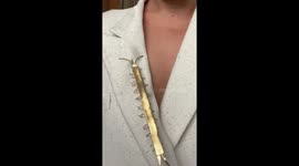 Striking caterpillar brooch showcased in Barcelona, Spain