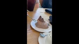 Cute cat-shaped puddings get a smile in Jeonju-si, South Korea