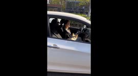 French Bulldog barks back during playful encounter in Krasnodar, Russia