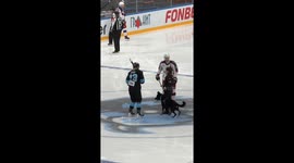 Dog bite surprise at Dinamo Minsk hockey match in Minsk, Belarus